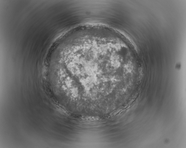 X0000116610823201001221317