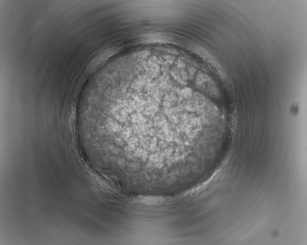 X0000116610825201001221317