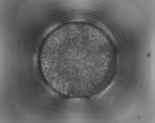 X0000116610826201001221317