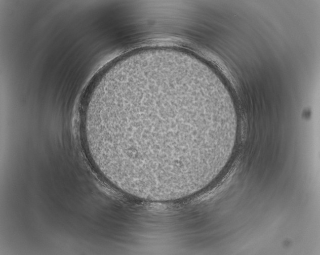 X0000116610827201001221317