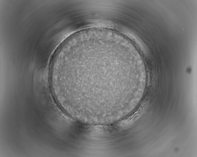 X0000116610828201001221317