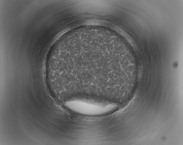 X0000116610829201001221317