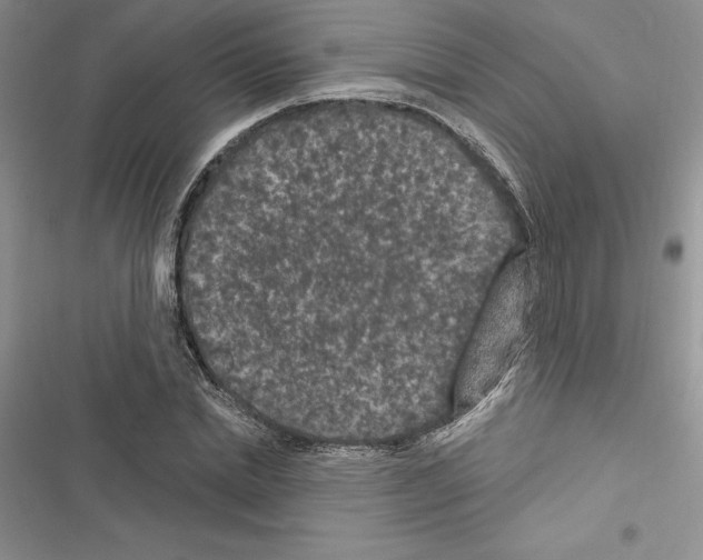 X0000116610830201001221317