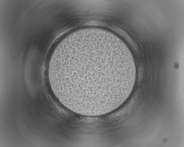 X0000116610831201001221317