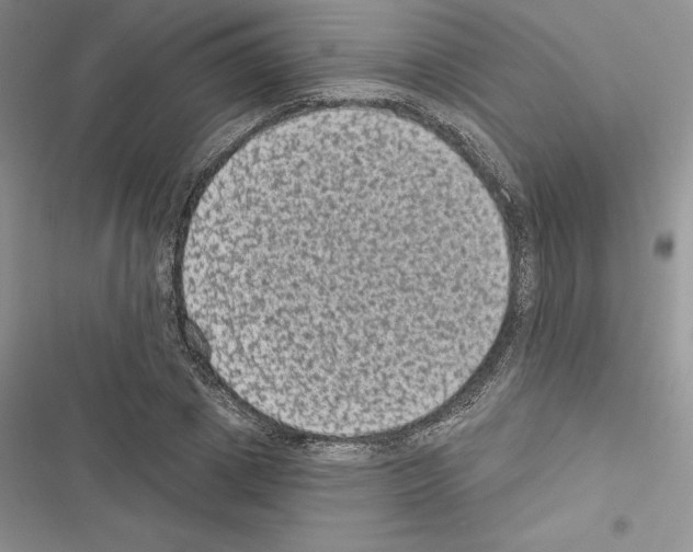 X0000116610833201001221317