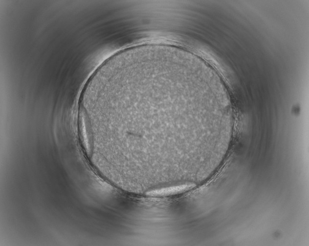 X0000116610836201001221317