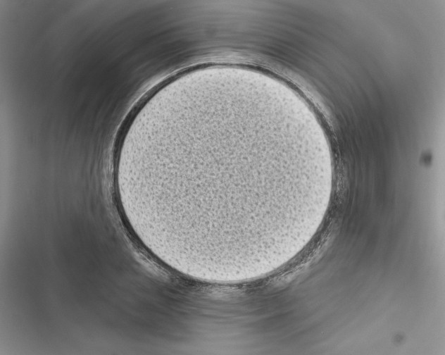 X0000116610837201001221317