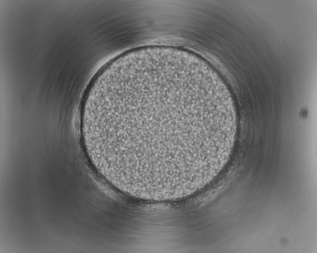 X0000116610838201001221317