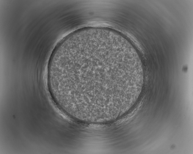 X0000116610840201001221317