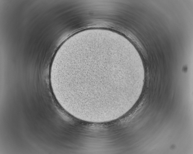 X0000116610842201001221317