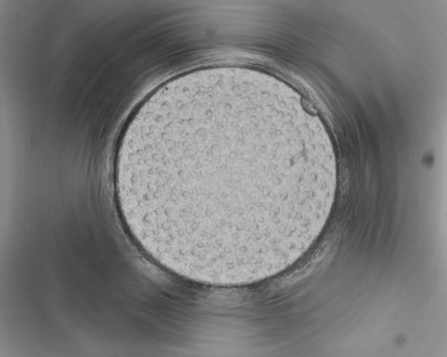 X0000116610843201001221317