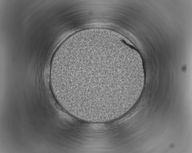 X0000116610844201001221317