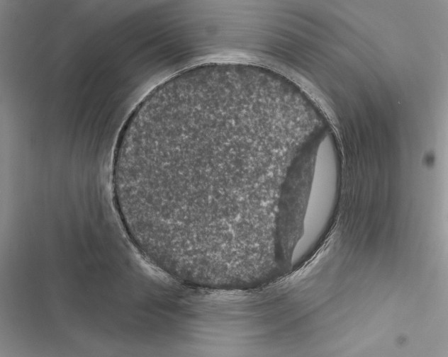 X0000116610845201001221317