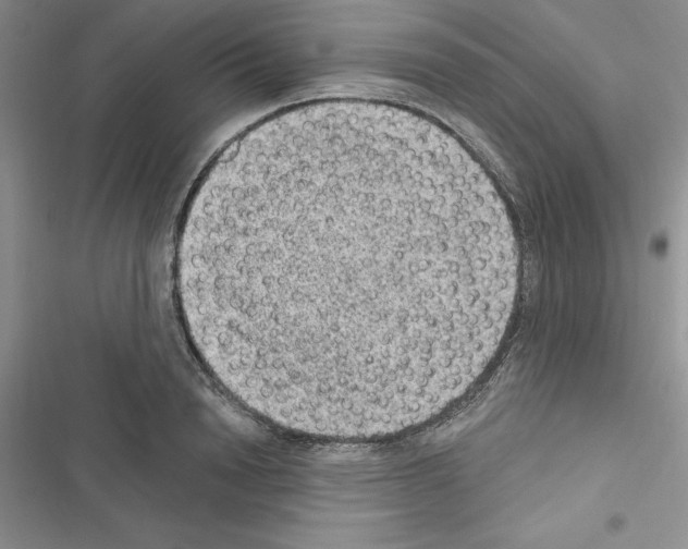 X0000116610846201001221317