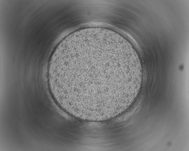 X0000116610847201001221317