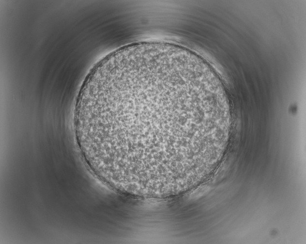 X0000116610848201001221317