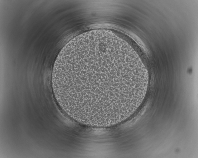 X0000116610849201001221317