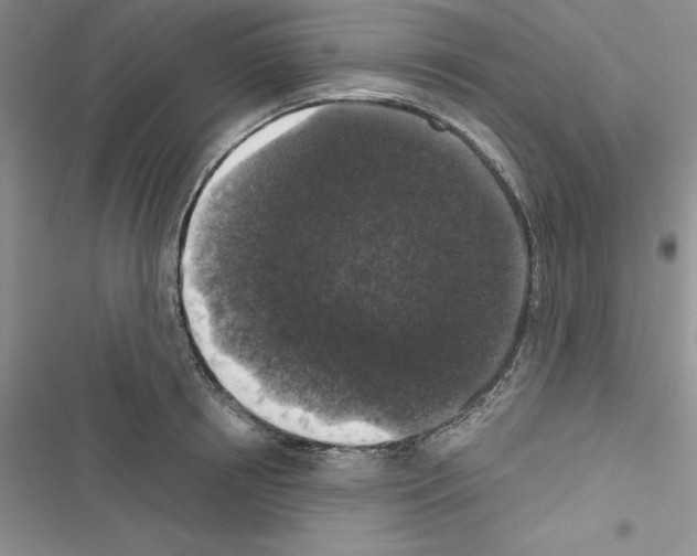 X0000116610850201001221317