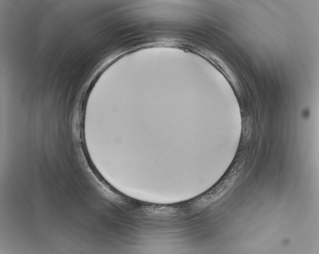 X0000116610851201001221317