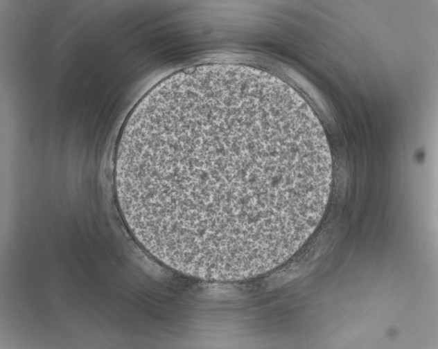 X0000116610852201001221317