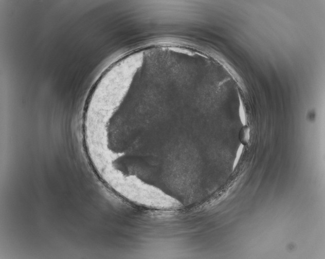 X0000116610853201001221317