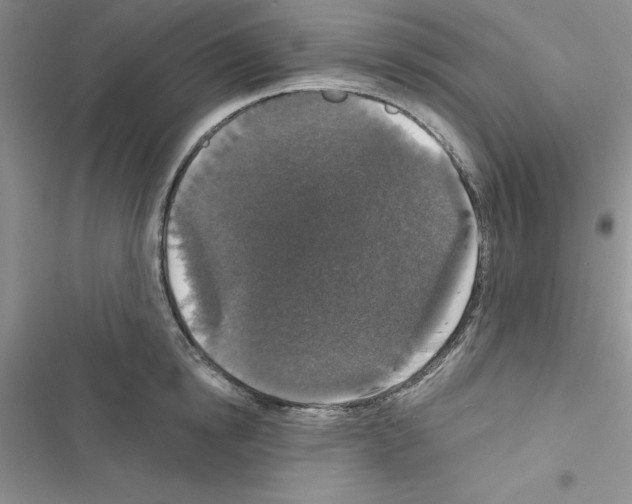 X0000116610854201001221317