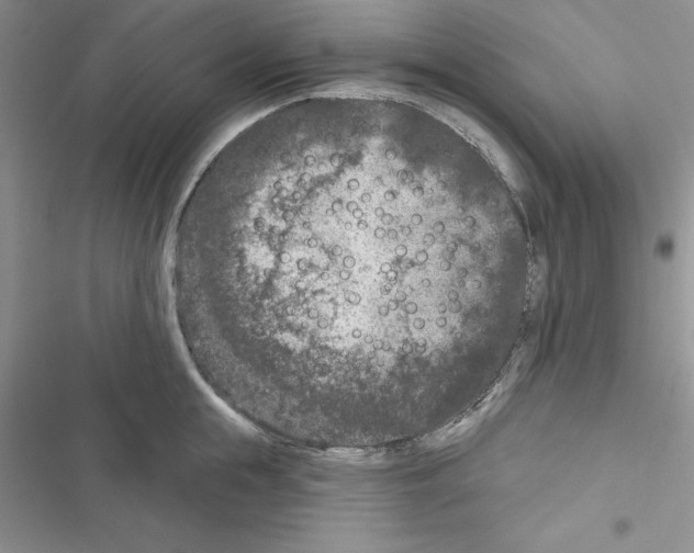 X0000116610855201001221317