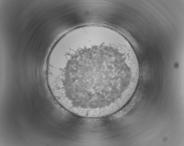 X0000116610856201001221317