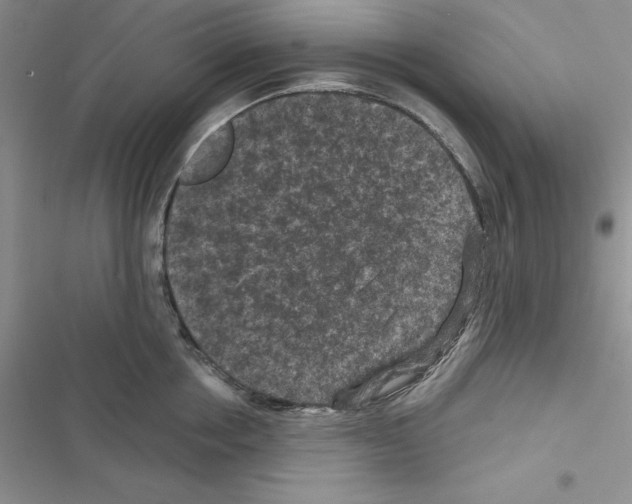 X0000116610858201001221317