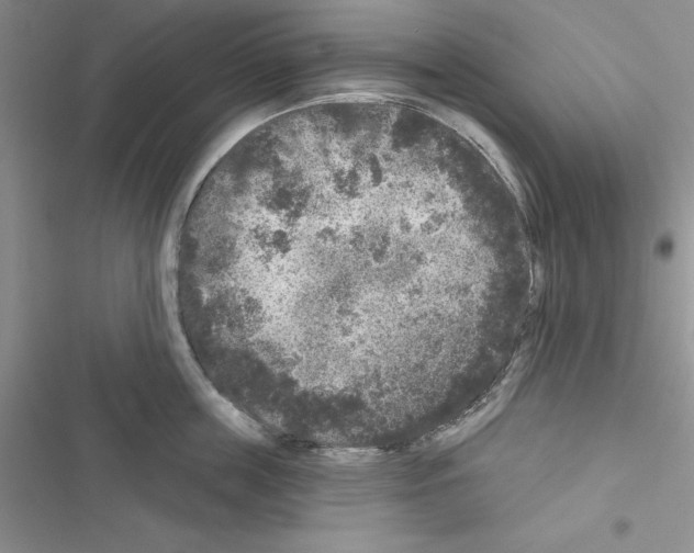 X0000116610859201001221317