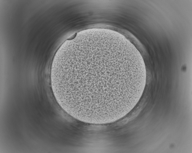 X0000116610860201001221317