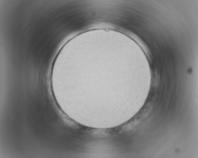 X0000116610861201001221317