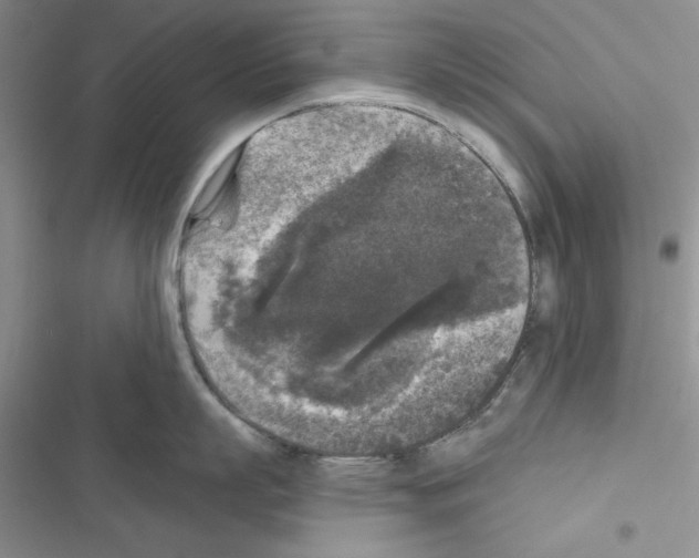 X0000116610863201001221317