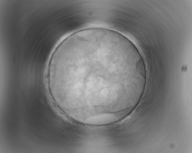 X0000116610864201001221317