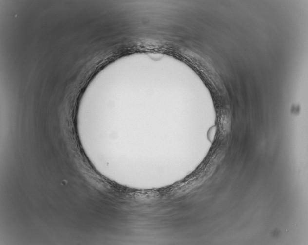 X0000116610865201001221317