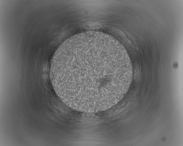 X0000116610866201001221317