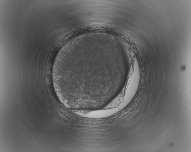 X0000116610868201001221317