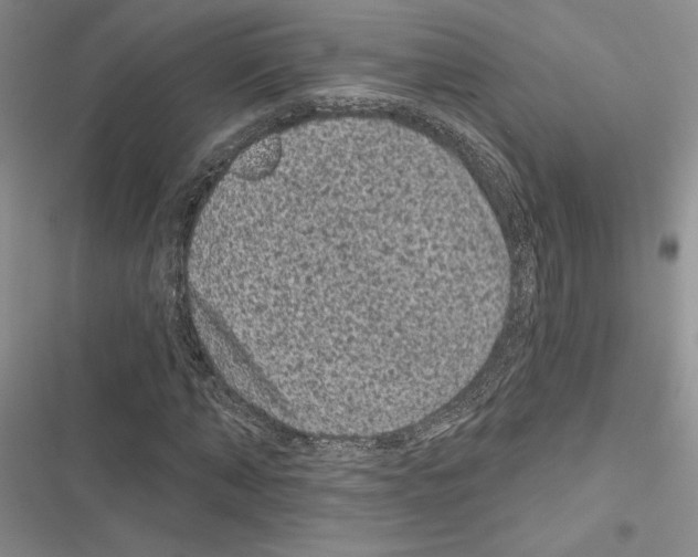 X0000116610870201001221317