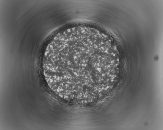 X0000116610872201001221317