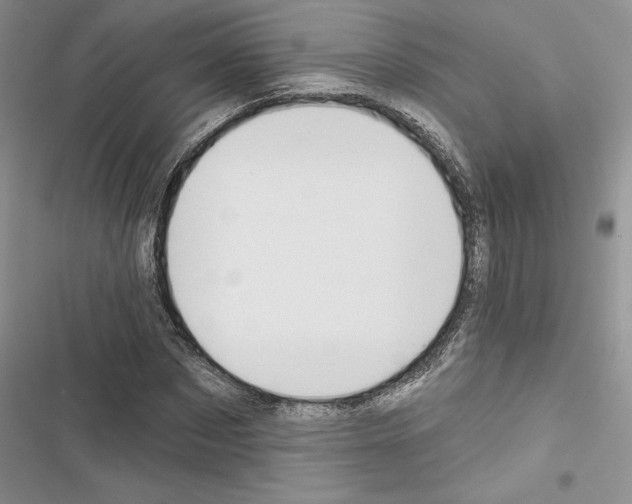 X0000116610873201001221317