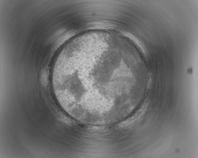 X0000116610874201001221317