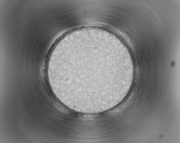 X0000116610875201001221317