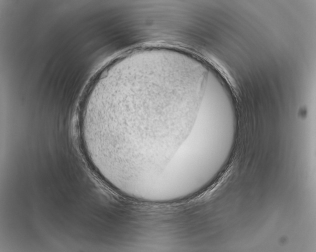 X0000116610876201001221317