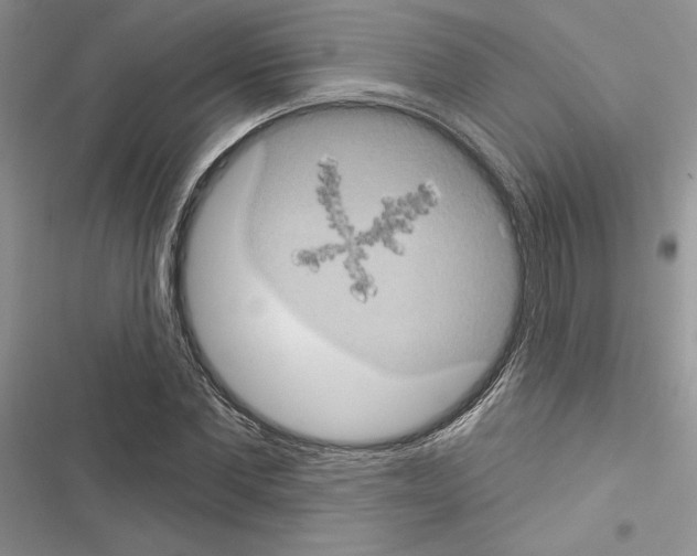 X0000116610877201001221317