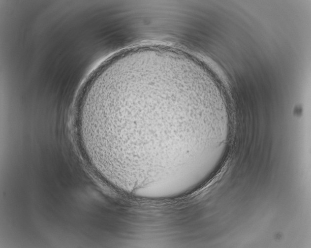 X0000116610878201001221317