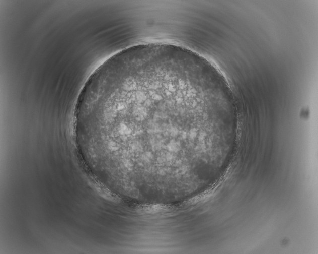 X0000116610879201001221317