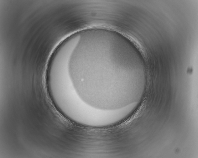 X0000116610880201001221316