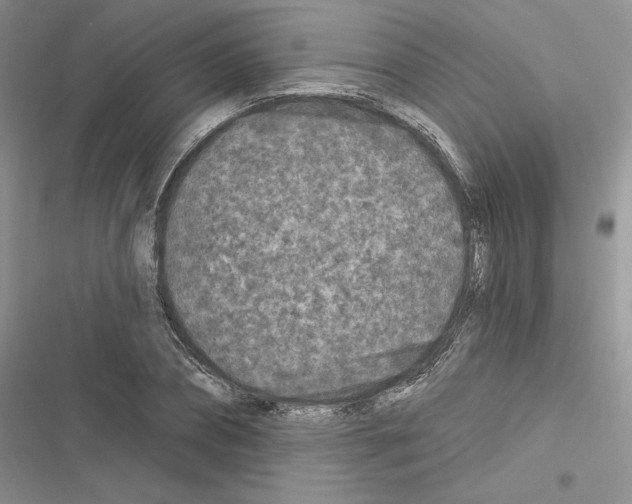 X0000116610882201001221316