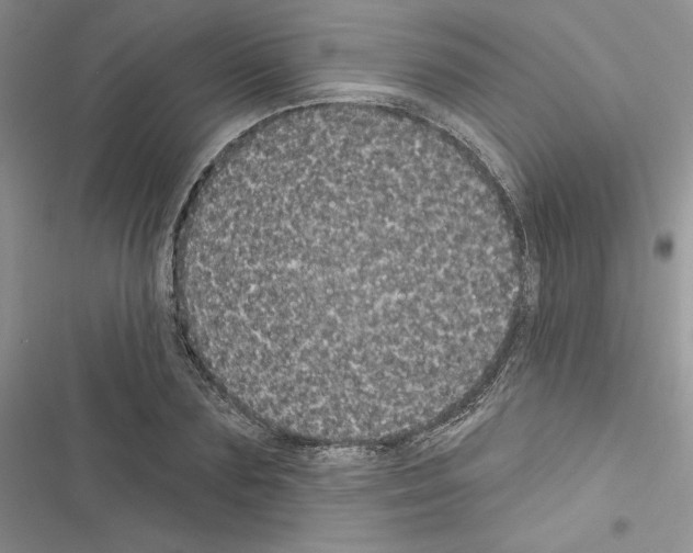 X0000116610883201001221316