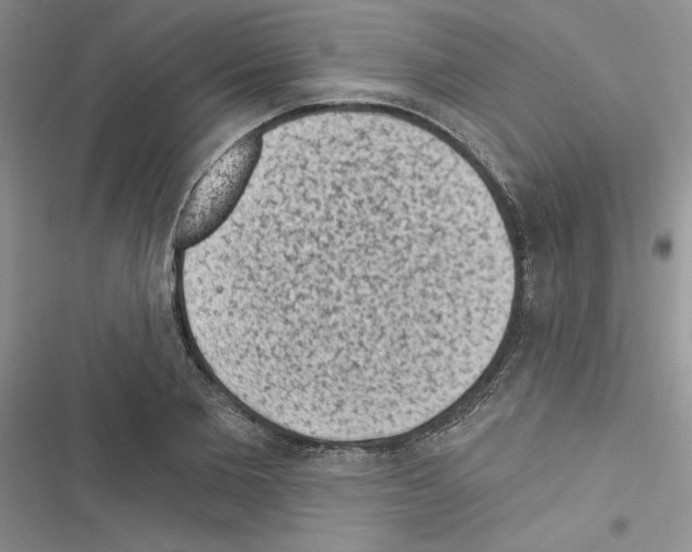 X0000116610885201001221316